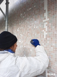 Condominio di Via Plinio 55, Milano